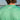 Bimini  Green with Peach | LS Back