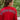 Crimson with Houndstooth Jersey | LS 2